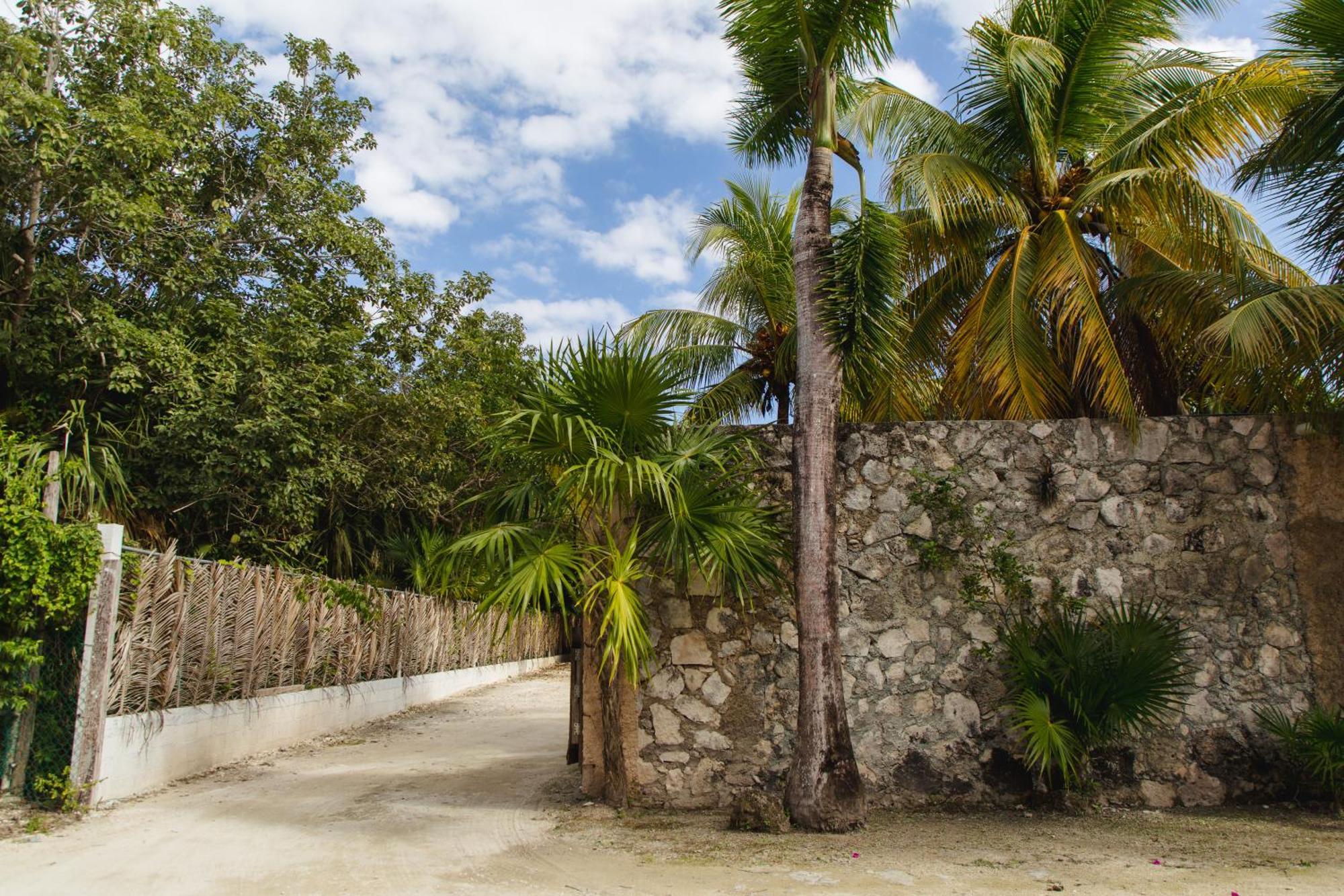 Angelina 28 Beachfront And Family Apartments - Modern And Relaxing Long Stays - 20 Min From Cancun Airport Puerto Morelos Ngoại thất bức ảnh